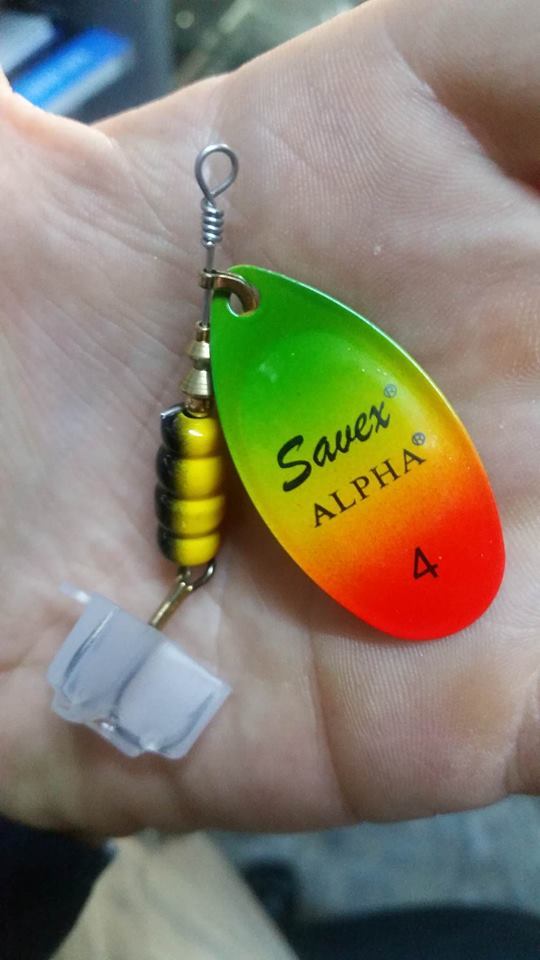 Savex MEPPS FLUO TİGER NO:4