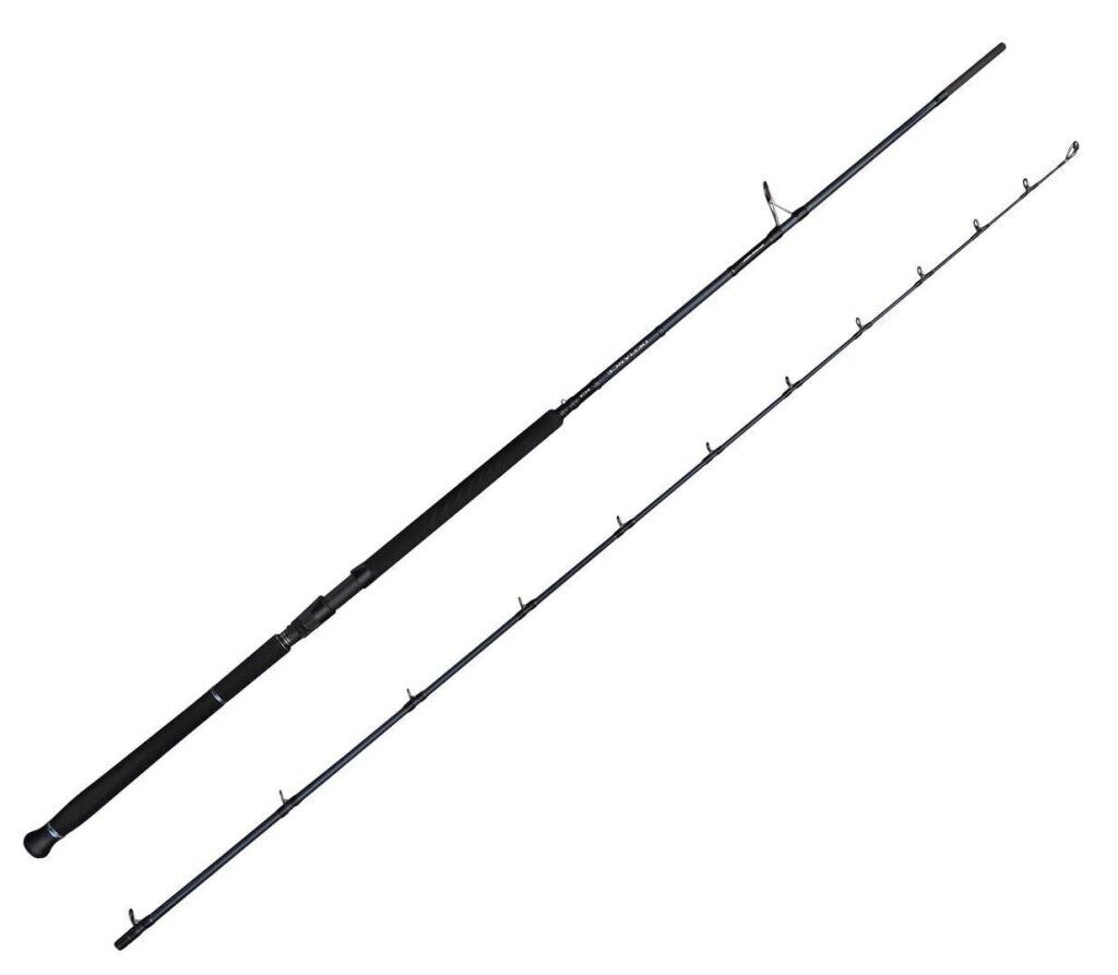Savage Gear Defiance SG2 Shore Jig 2.90m 20-80gr 2 Parça Olta Kamışı