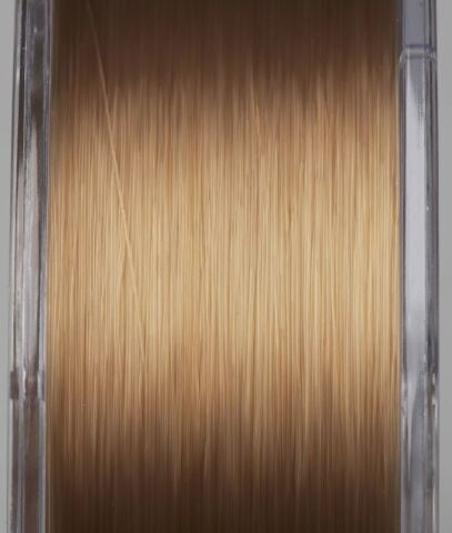 Prologic Density Mono Carp 1000 mt Natural Brown 0.37mm