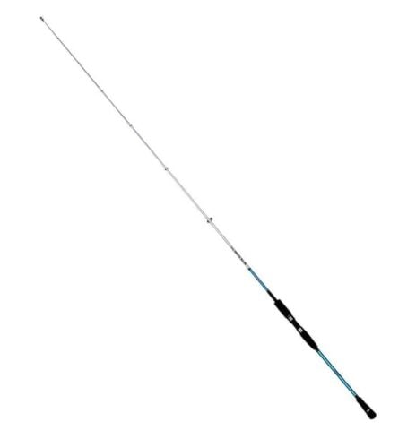 Fujin BlueGame 203 Cm 60-140 Gr Light Jig Kamışı