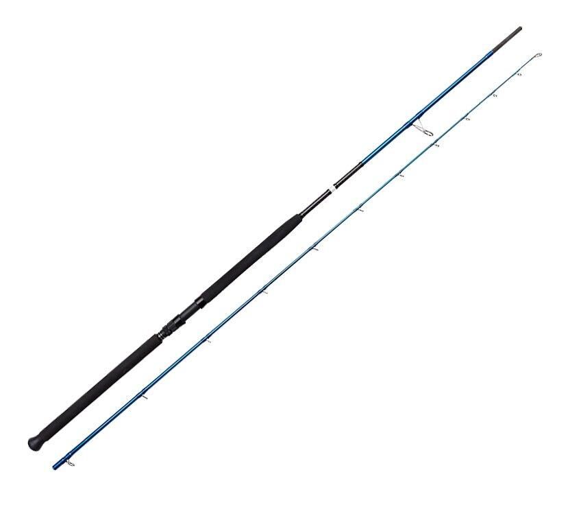 Savage Gear SGS2 Shore Jigging 10'/3.05m 30-100 gr Spin Kamış