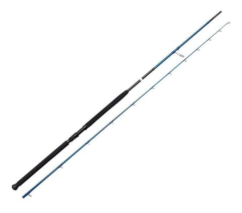 Savage Gear SGS2 Shore Jigging 10'/3.05m 30-100 gr Spin Kamış