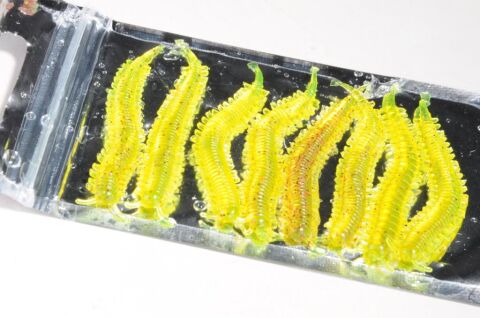 MUTLU (5,5 cm) LRF Silikonu