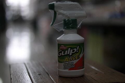 Berkley GULP ALIVE Sprey Sıvı 237ML