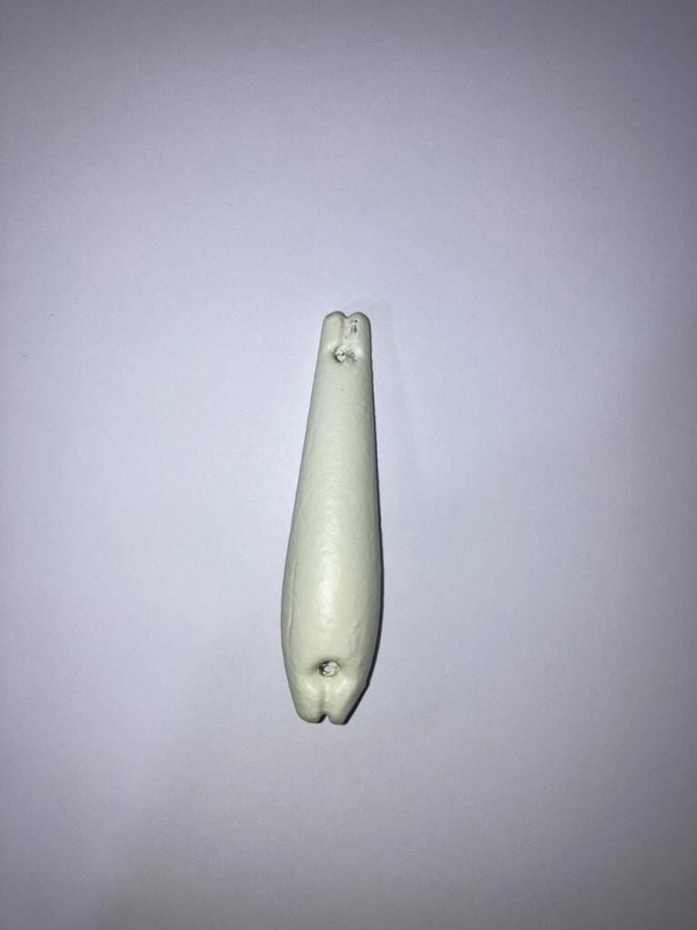 Fosforlu Mavruka Olta Kurşunu