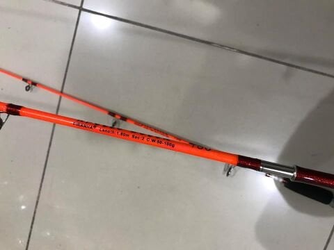 Apollo Color 180cm 50-100gr Dolgu Kamış