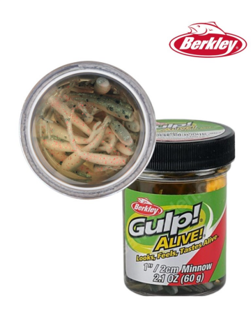 Berkley Gulp Alive 1'' Inc Minnow  Silikon Yem
