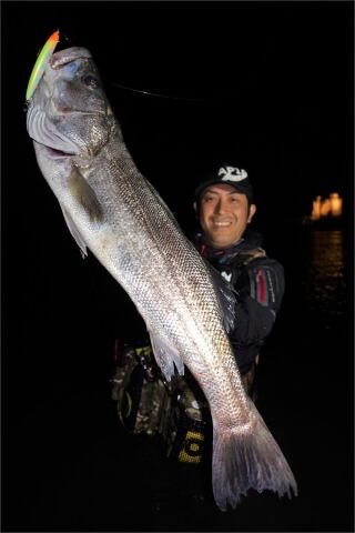 POZIDRIVE GARAGE Frilled Swimmer 115mm 16gr