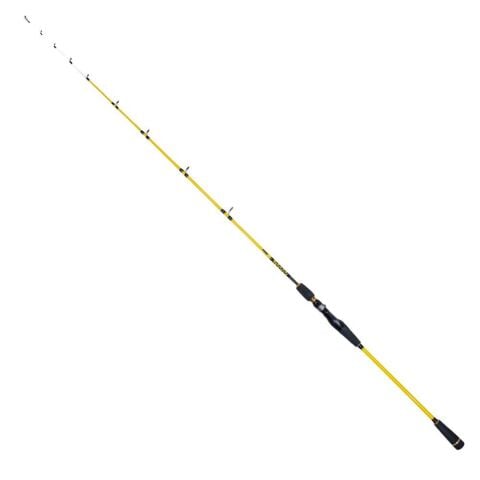 Ryuji Sparrow 1.70m 15-200gr 2P Bot Olta Kamışı