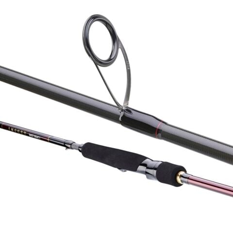 Daiwa Infeet Seabass 2.51m 10-35gr 2P  Spin Kamış