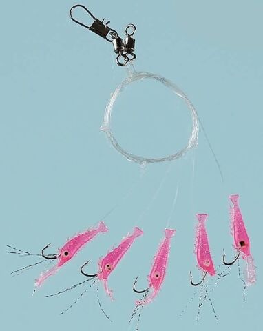 Fladen Living Shrimp (Karides)  5 li  Çapari no:6 iğne