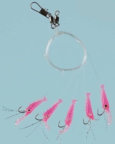 Fladen Living Shrimp (Karides)  5 li  Çapari no:6 iğne