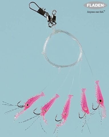 Fladen Living Shrimp (Karides)  5 li  Çapari no:6 iğne