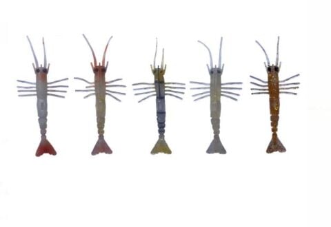 Bezli Karides 7.5cm 4gr