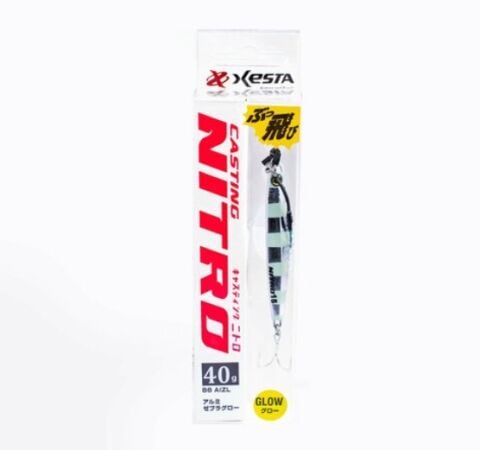 Xesta Casting Nitro 40 gr Jig Yem