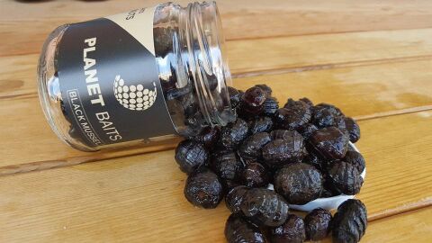 Planet Baits Tiger Nuts Hookbaits Black Mussels