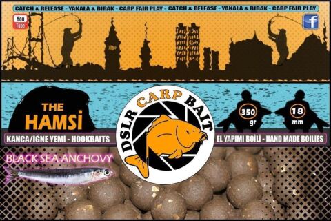 DSLR Carp Bait 350 gr 18 mm Boili  Hamsi