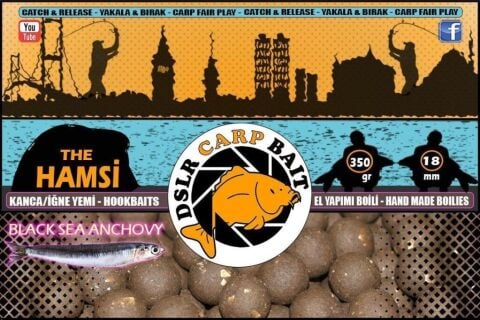 DSLR Carp Bait 350 gr 18 mm Boili  Hamsi