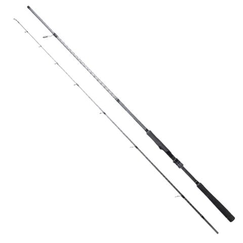 Ryuji Ares X 270 Cm 9-45 Gr Spin Kamışı