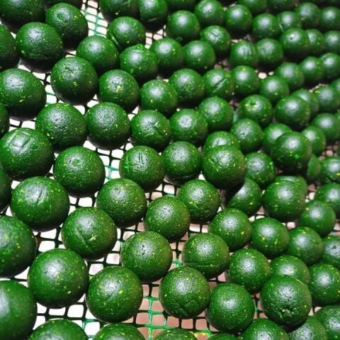 Spektrum Baits Boili 18 mm 400 Gr Antivirüs