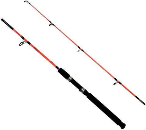 Kendo Holiday Boat 1.65m 100-250gr 2 Parça Olta Kamışı