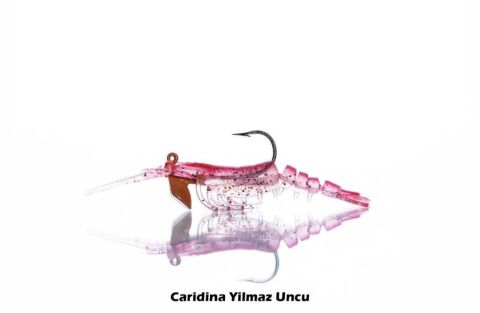 Pandora Caridina 7,6cm 6,5gr Silikon Karides Yem