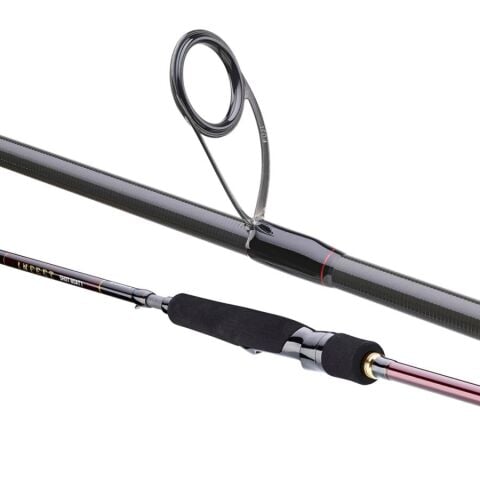 Daiwa Infeet Seabass 2.44m 14-42gr 2P Kamış