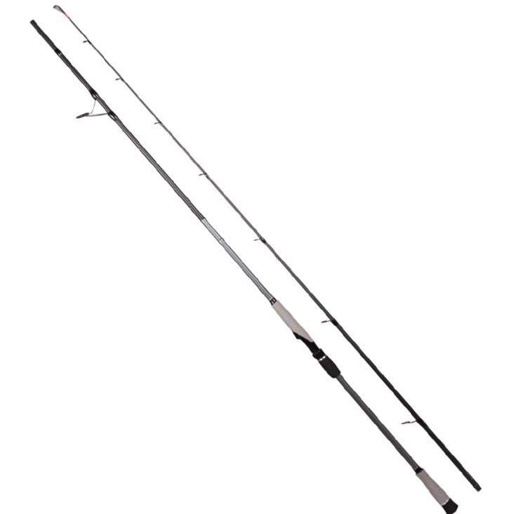 Ryuji Matrix 300 Cm 30-100 Gr Shore Jig Kamışı