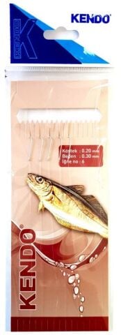 Kendo Prof. 5'li  Mezgit Takımı