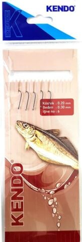 Kendo Prof. 5'li  Mezgit Takımı