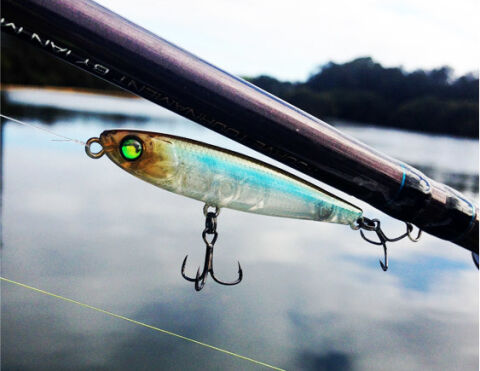 Pro Lure SF62 PENCIL 6.2cm 3.4gr (Su üstü)