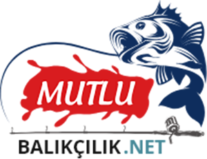 Çanta&Kutu&Kılıf