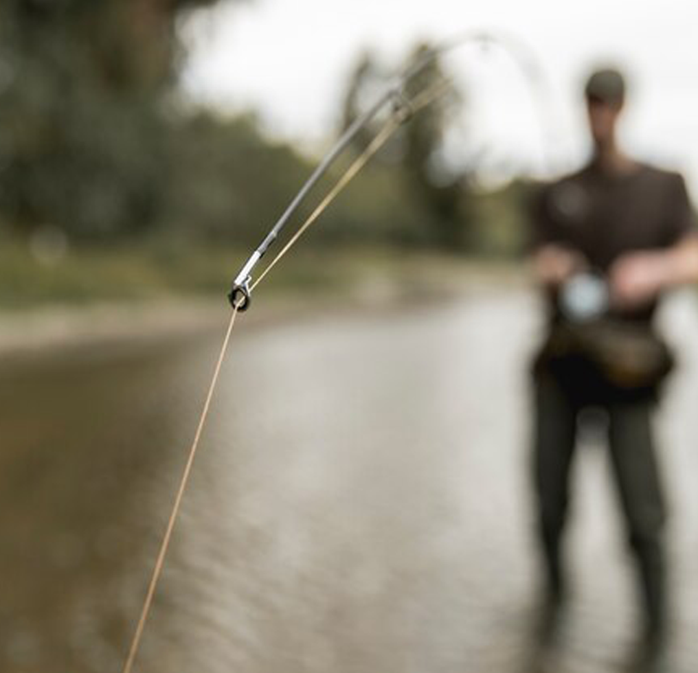 LRF <br> Kamışları